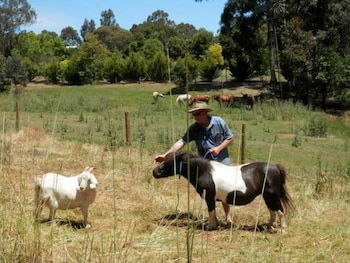 Country Cottages Of Bridgetown - Darwin Holiday 0