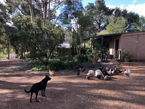 Country Cottages Of Bridgetown - Darwin Holiday 4