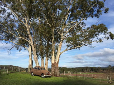 Duffys Country Accommodation - Darwin Holiday 2