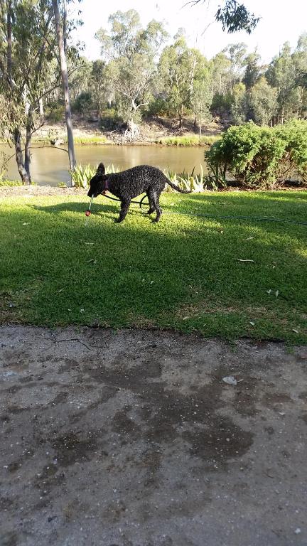 Captains Cottage Bed & Breakfast - Darwin Holiday 3