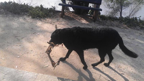 Captains Cottage Bed & Breakfast - Darwin Holiday 6