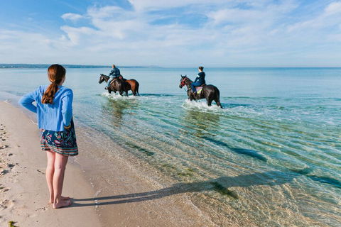 Sailaway Beach House - Darwin Holiday 6