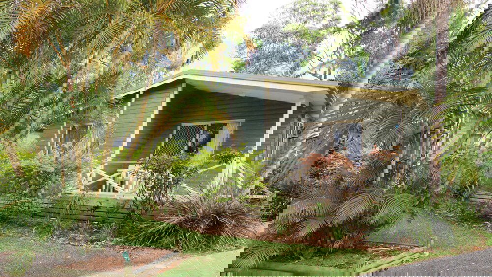 Arrawarra NSW Darwin Holiday