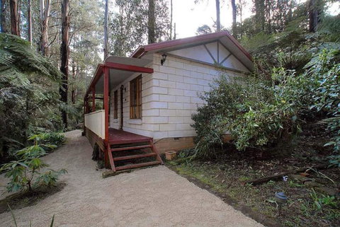 Fernglen Forest Retreat - Darwin Holiday 5