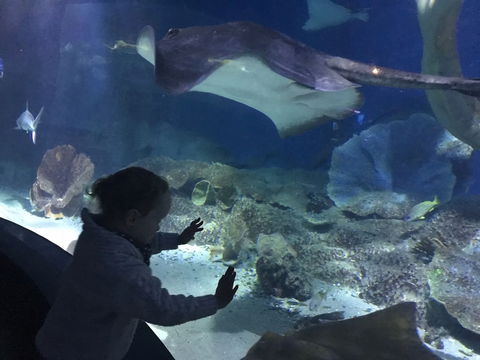 Cityviews 3 Bedroom - Darwin Holiday 5