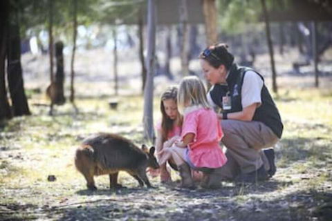 Billabong Camp Taronga Western Plains Zoo - Darwin Holiday 6
