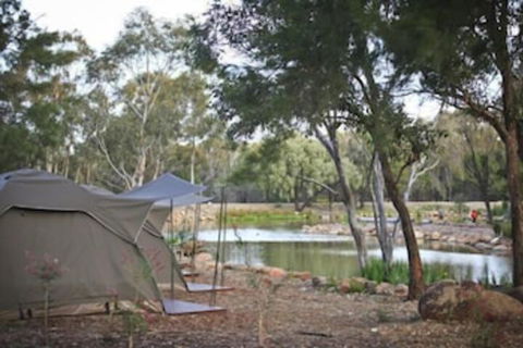 Billabong Camp Taronga Western Plains Zoo - Darwin Holiday 2