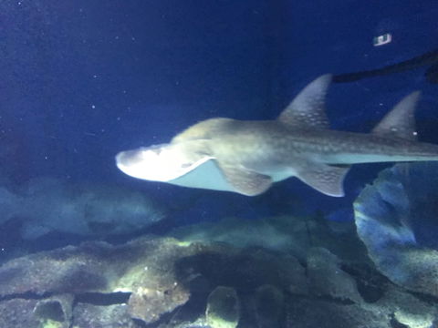 Bayviews Apartment - Darwin Holiday 6