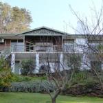 Sea Banksia - Darwin Holiday 0