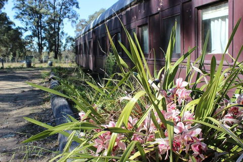 Krinklewood Cottage & Train Carriages - Darwin Holiday 2