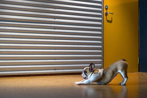 The Dome House - Darwin Holiday 7