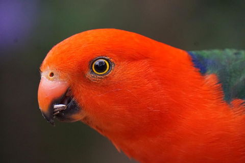 305 Montville - Darwin Holiday 3