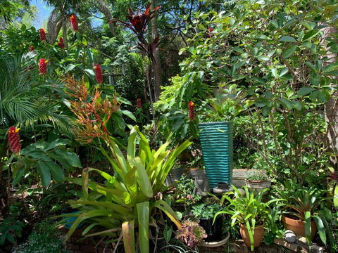 305 Montville - Darwin Holiday 4