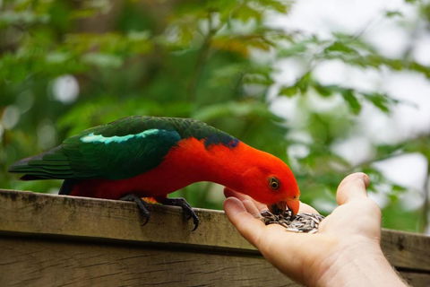 305 Montville - Darwin Holiday 5