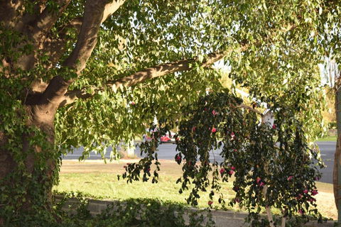 Alkira Motel - Darwin Holiday 4