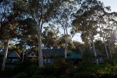 Great Ocean Road Cottages - Darwin Holiday 1