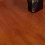 Bayswater North VIC Darwin Holiday