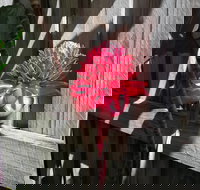 Latania Luxury Villas - Darwin Holiday