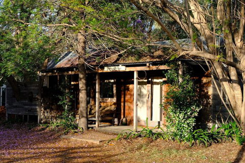 The Laurels Of Chinchilla - Darwin Holiday 2