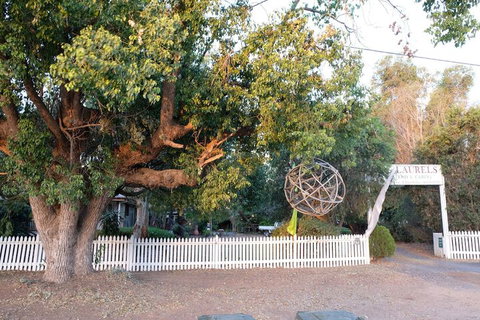 The Laurels Of Chinchilla - Darwin Holiday 4