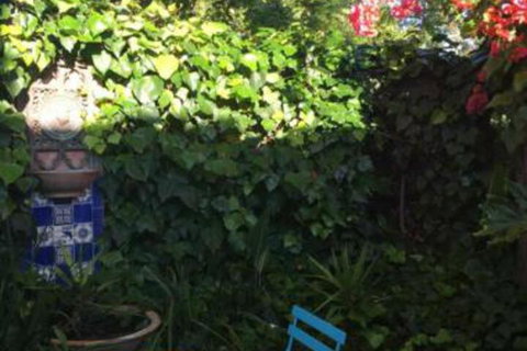 Jerningham Street Cottage - Darwin Holiday 4