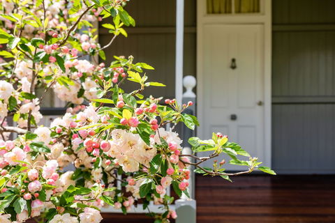 Apple Blossom Cottage - Darwin Holiday 0