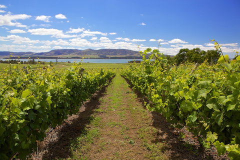 Riversdale Estate Cottages - Darwin Holiday 0