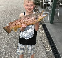 Eildon Pondage Holiday Park - Darwin Holiday