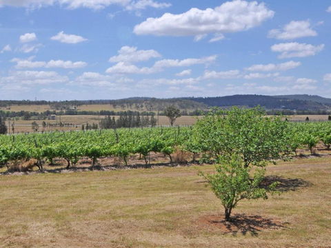 Beggars Bridge Vineyard Homestead W / Pool + Wifi + Tennis + Vineyard - Darwin Holiday 2