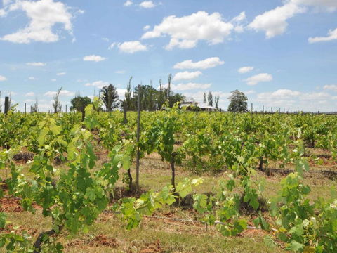 Beggars Bridge Vineyard Homestead W / Pool + Wifi + Tennis + Vineyard - Darwin Holiday 1