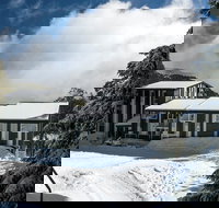 Elk at Falls - Darwin Holiday