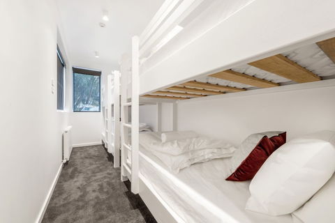 Elk At Falls - Darwin Holiday 6