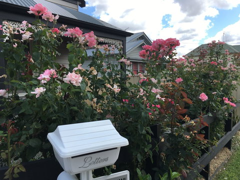 Stay Social - Darwin Holiday 1