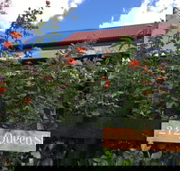 Stay Social - Darwin Holiday