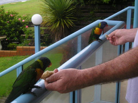 Narooma Golfers Lodge - Darwin Holiday 3