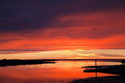 Coastal Pods Wynyard - Darwin Holiday 1
