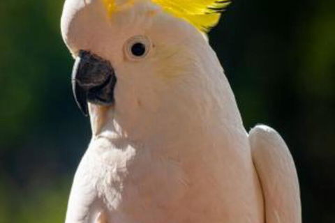 Jugoon - Darwin Holiday 3