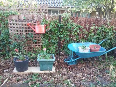 Kismet B & B - Darwin Holiday 4