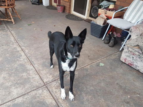 Kismet B & B - Darwin Holiday 3