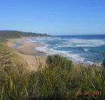 Kismet B  B - Darwin Holiday