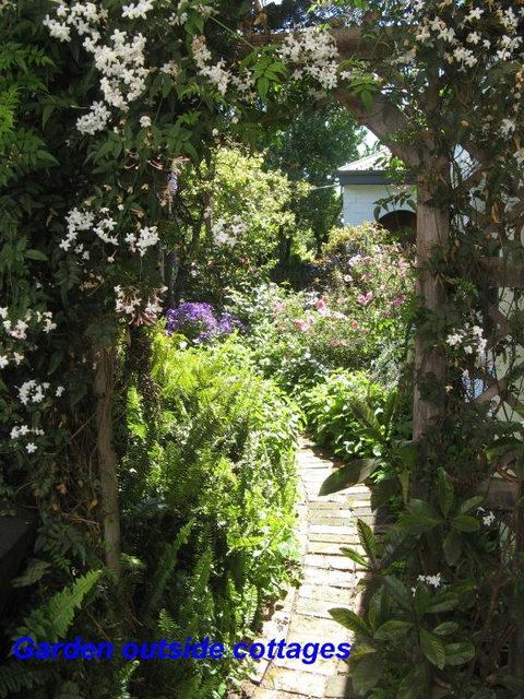 The Grove Cottages - Darwin Holiday 3