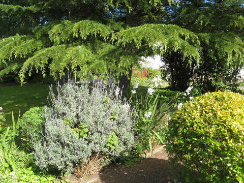 The Grove Cottages - Darwin Holiday 7