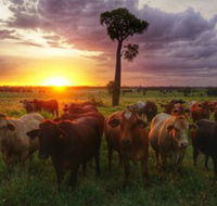 Myella Farm Stay - Darwin Holiday