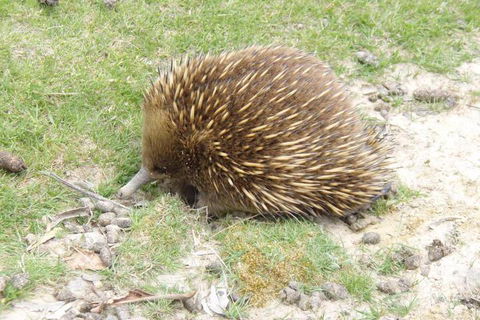 Base Camp Tasmania - Darwin Holiday 3