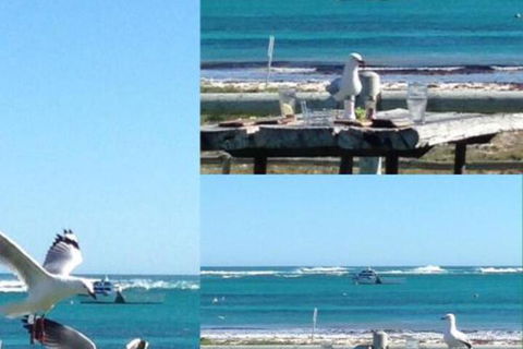 Lous Place - Darwin Holiday 6