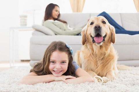 BOUTIQUE STAYS - South Yarra Lane - Darwin Holiday 4