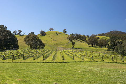 Blue House At Mountainside Wines - Darwin Holiday 1
