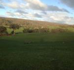 Mancuso Country Cottage Retreat - Darwin Holiday