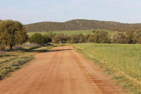 Northbrook Farmstay - Darwin Holiday 4