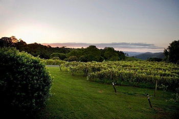 Flame Hill Vineyard - Darwin Holiday 6